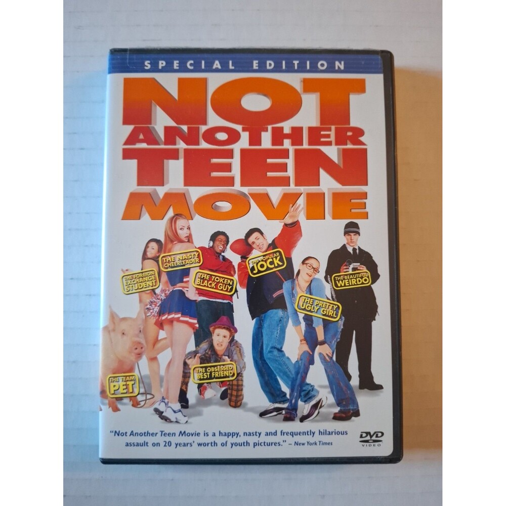 Not Another Teen Movie (DVD, 2002)